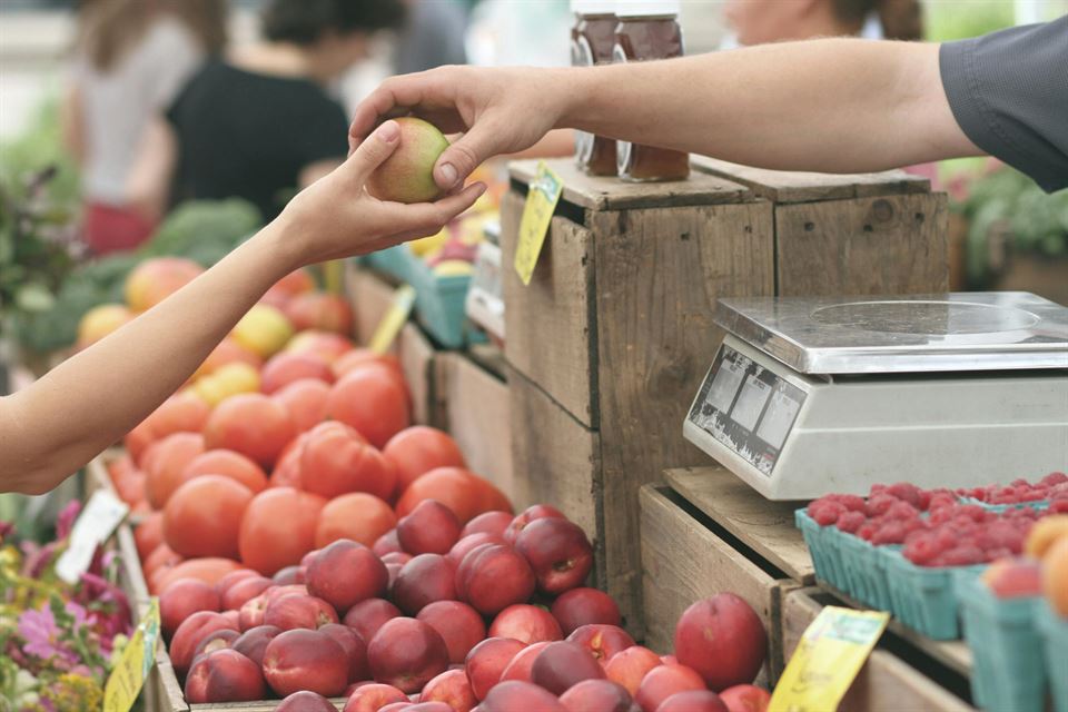 Guía Definitiva: Cómo Convertir tu Alquiler Vacacional en un Paraíso del Ecoturismo y la Sostenibilidad 8 mercado-fruta
