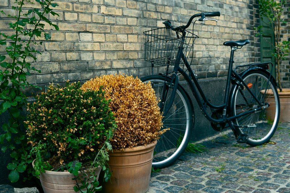 Guía Definitiva: Cómo Convertir tu Alquiler Vacacional en un Paraíso del Ecoturismo y la Sostenibilidad 13 bicicleta-jardin-cuidado-del-medio-ambiente