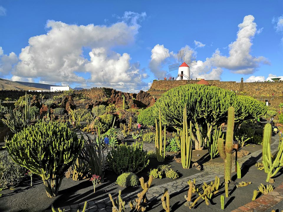 Guía Maestra: Cómo Multiplicar tus Ingresos con Upselling y Cross-Selling en tu Alquiler Vacacional 10 jardines-cactus-lanzarote-excursion-servicios-extra-alquiler-vacacional