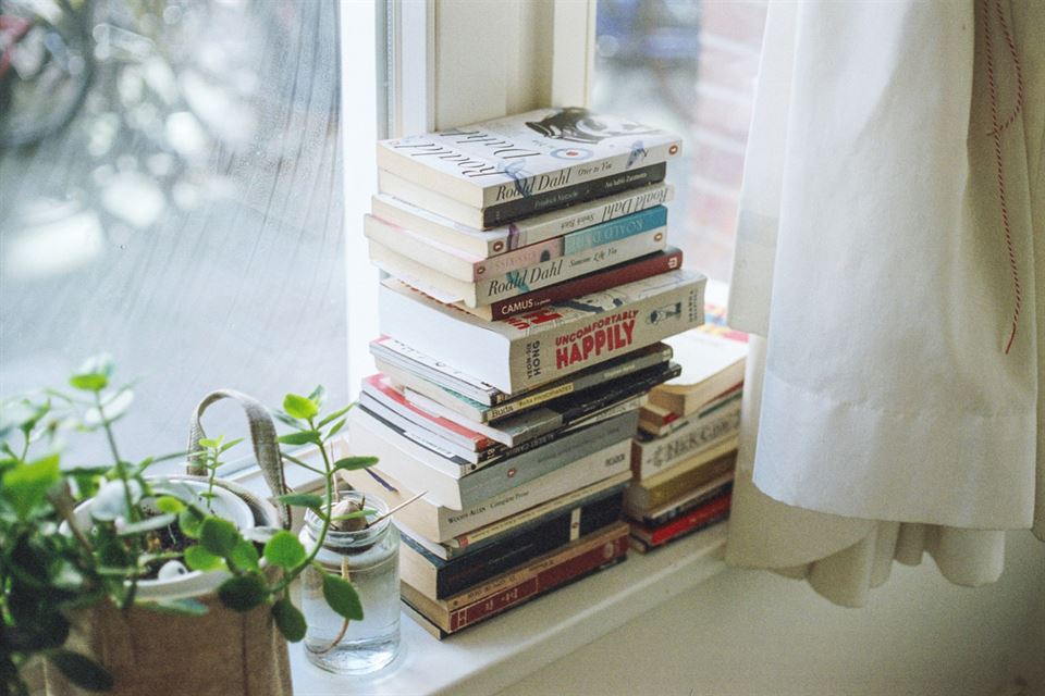 libros-ventana