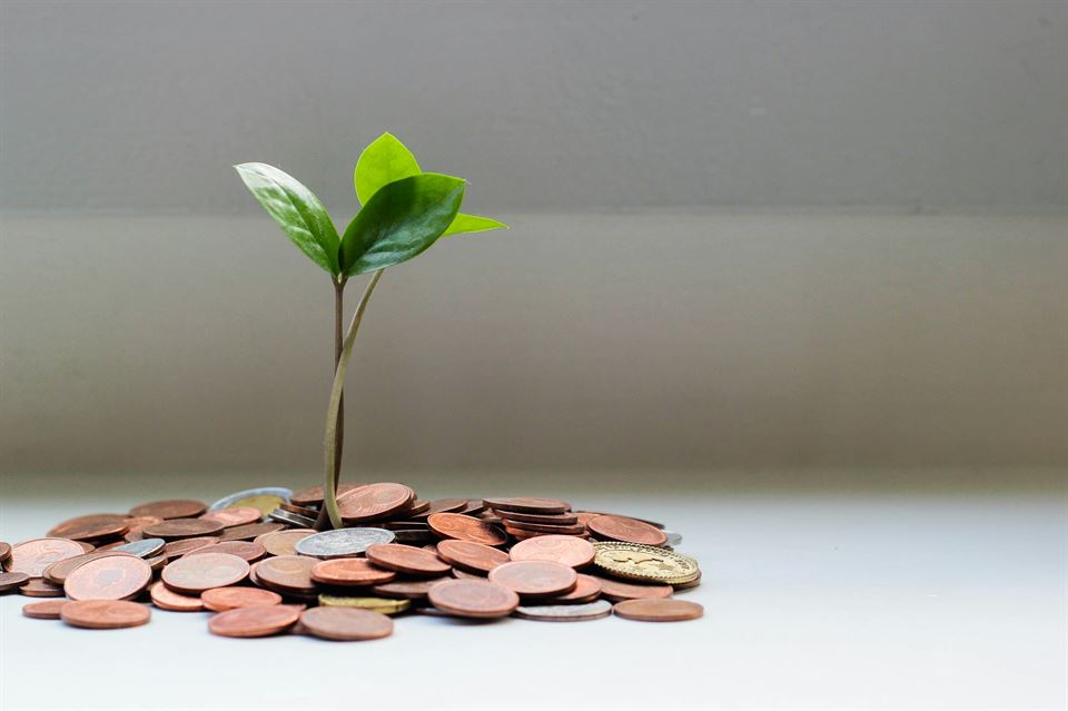dinero-crece-planta