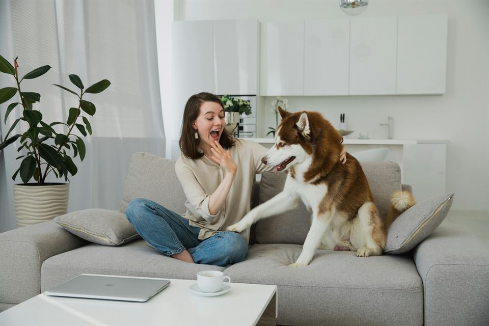 5 consejos para fidelizar a tus clientes de alquiler vacacional 5 cliente-vivienda-vacacional-mascota