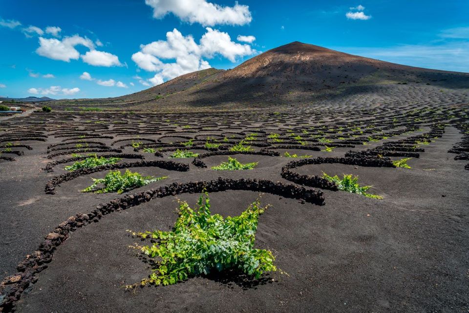 valle-geria-vinos-lanzarote
