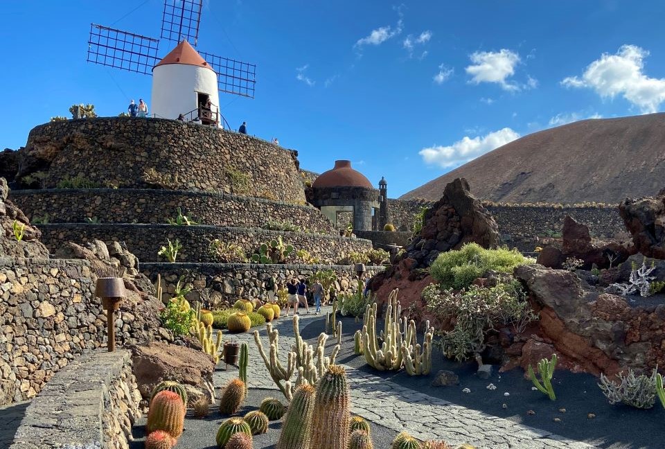 El Legado Infinito de César Manrique: Guía Imprescindible de los Centros de Arte, Cultura y Turismo de Lanzarote 6 jardin-de-cactus-lanzarote