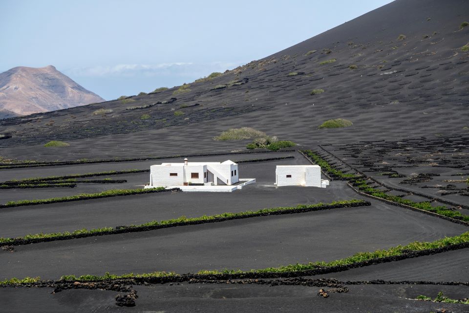 zona-de-viñedos-isla-lanzarote