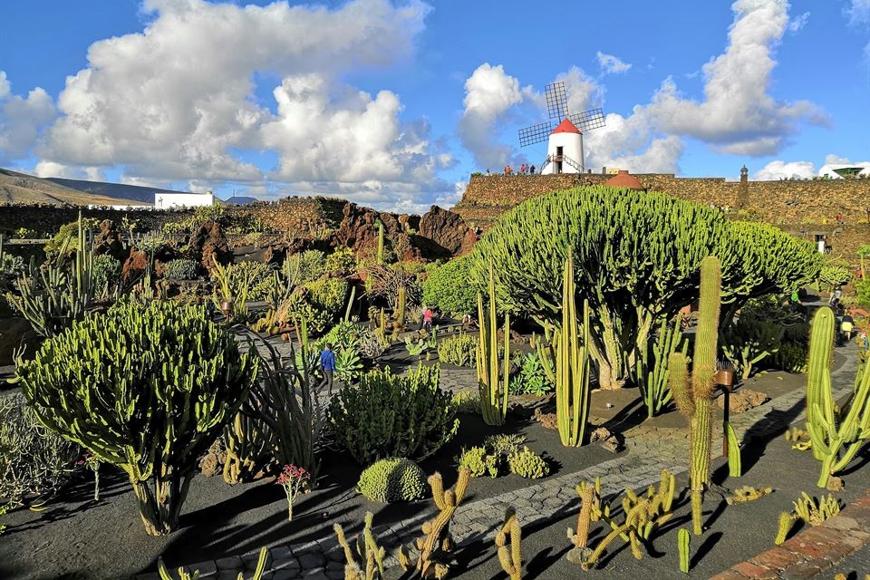 el-jardón-de-cactus-de-lanzarote