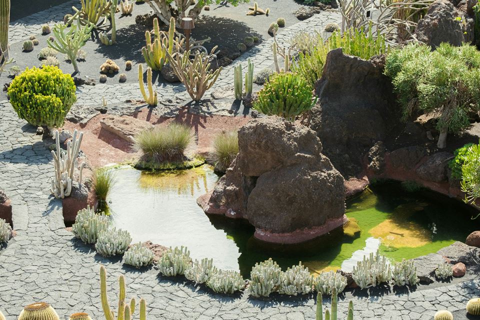 lagunas-jardín-del-cactus-de-lanzarote